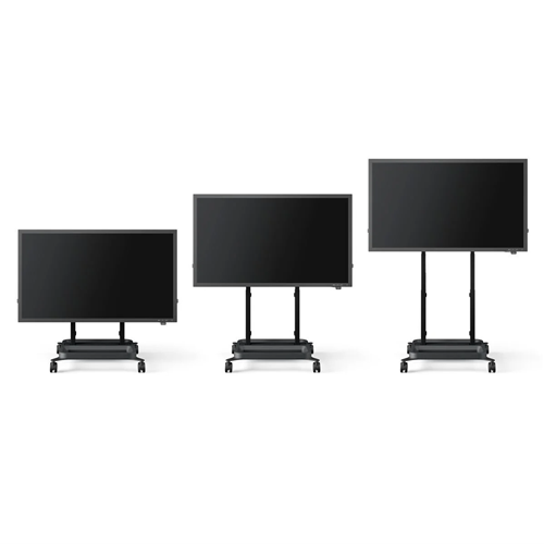 VO-RISE5308 (5)